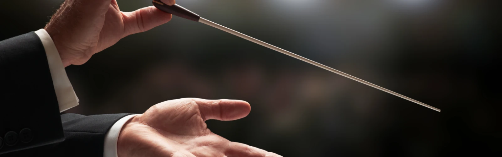 Vienna Imperial Orchestra: A Night of Classical Elegance